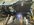 IMG_3907-compressed.jpeg