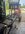 IMG_3886-compressed.jpeg