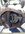 IMG_8955.jpeg