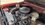IMG_1450.jpeg