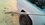 IMG_20260504_142649943_MP.jpg
