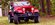 IMG_9898.jpeg