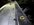 IMG_9849.jpeg
