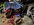 IMG_9850.jpeg