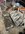 IMG_9853.jpeg