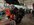 IMG_9870.jpeg