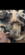 IMG_9986.png