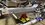 IMG_3148.jpeg