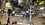 IMG_3150.jpeg