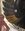 IMG_7355.jpeg