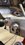 IMG_3157.jpeg