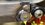 IMG_3155.jpeg
