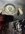 IMG_8396.jpeg