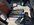 IMG_9881.jpeg
