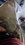 IMG_20260511_152221943_MP~2.jpg