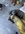 IMG_9886.jpeg