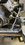 IMG_3182.jpeg