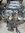 IMG_7362.jpeg