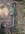 IMG_9039.jpeg