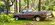 IMG_0365.jpeg