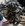 IMG_7381.jpeg