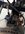 IMG_7383.jpeg
