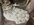IMG_3688.jpeg