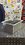 IMG_3212.jpeg