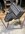 IMG_9925.jpeg