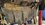 IMG_7406.jpeg IMG_7406.jpeg