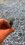 IMG_1606.jpeg