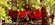 IMG_0682.jpeg