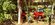 IMG_0681.jpeg