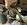IMG_7415.jpeg