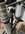 IMG_5753.jpeg
