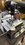 IMG_3239.jpeg