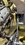 IMG_3243.jpeg