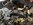 IMG_7424.jpeg