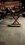 IMG_1495.jpeg