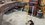 IMG_1502.jpeg