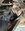 IMG_7435.jpeg