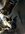 IMG_7437.jpeg