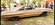 IMG_1058.jpeg