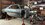 IMG_3265.jpeg