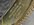 IMG_7436.jpeg