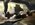 IMG_7438.jpeg