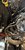 IMG_7442.jpeg