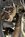 IMG_7441.jpeg
