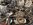 IMG_7443.jpeg