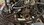 IMG_7444.jpeg